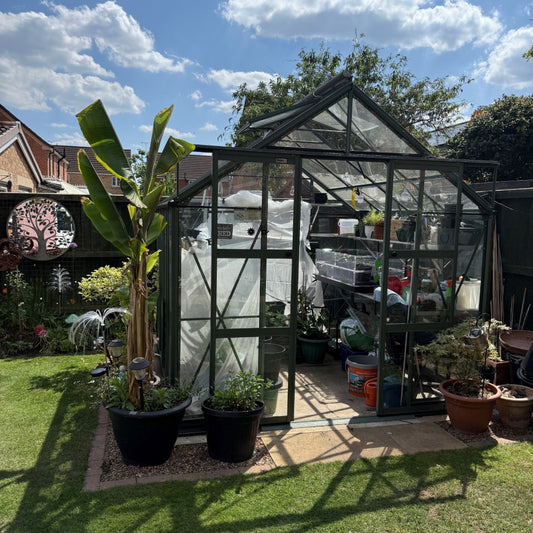 Graham's Rhino Classic 8x8 greenhouse